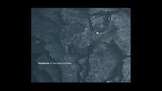Pechblende | In the Hands Of Others [Auxiliary 2021]