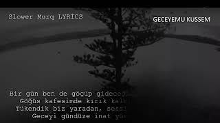 Bir gün ben de göçüp.gidecğim bu vahşi tabiatın