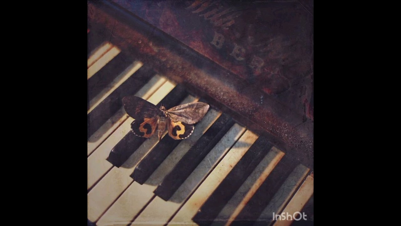 hey there delilah (Cover by Ctimene Flora)