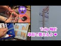 大事なチューリップの輪針が折れちゃった