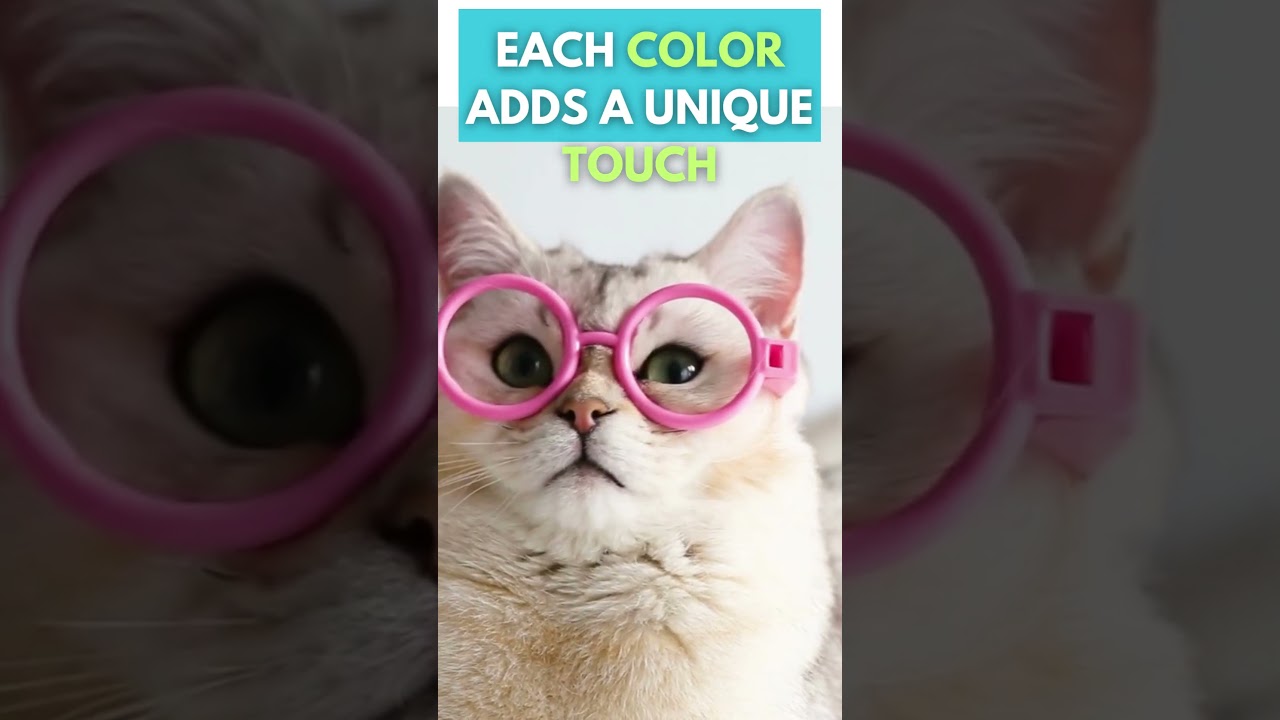 Cat Eyes: Unbelievable and Rare Facts you didn't know | The Ultimate Vision Machines