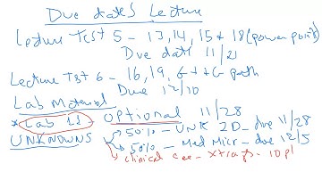 Identification of Unknown Bacteria
