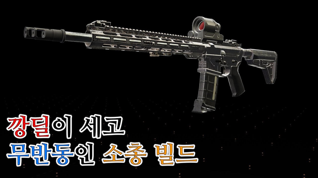 이번 시즌에 쓸만한 소총 빌드 / 디비전 2