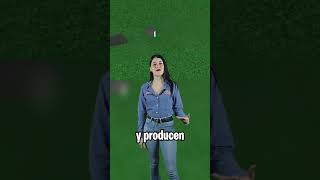 ¡TODO lo que debes saber sobre un Biodigestor Autolimpiable Rotoplas! 💦🌱 - #plomosa #viral #rotoplas