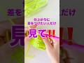 中長編みのスキマ問題…私なりの解決法です　#かぎ針編み #中長編み #かぎ針編みチュートリアル