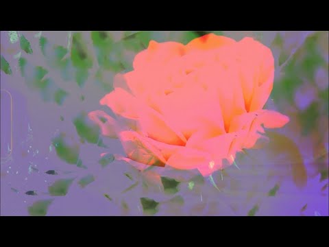 Alina Baraz Husband