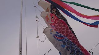 夕方の寒空を泳ぐ旧式八幡太郎鯉のぼり