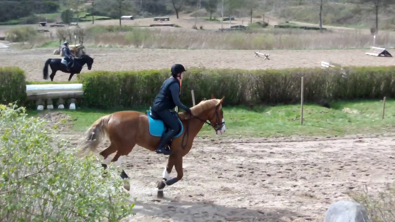 Geländelehrgang mit Martin Plewa
