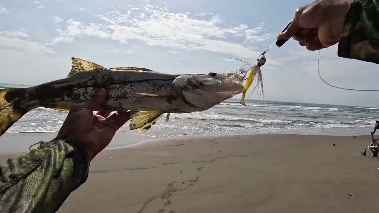 Pescando en Playa FARALLÓN Veracruz || Pesca de ROBALO 