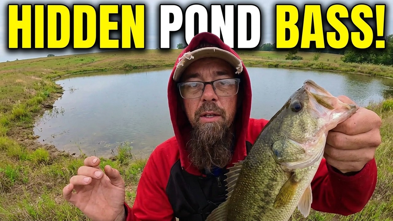Local hidden pond bass fishing!