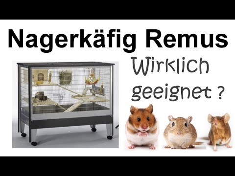 (Klein)Nagerkäfig Remus (AniOne) - Wirklich geeignet für Kleinnager?!