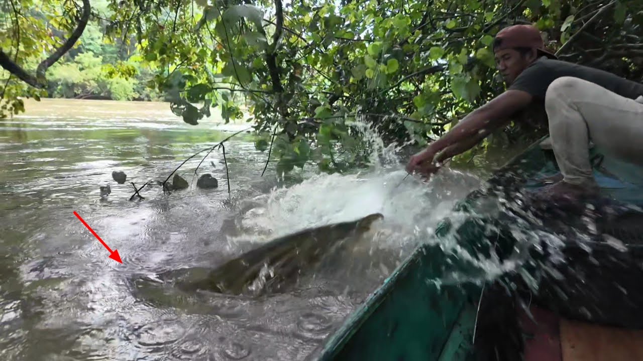 2 HARI SATU MALAM NAJUR IKAN TAPAH DI HULU SUNGAI LAMANDAU