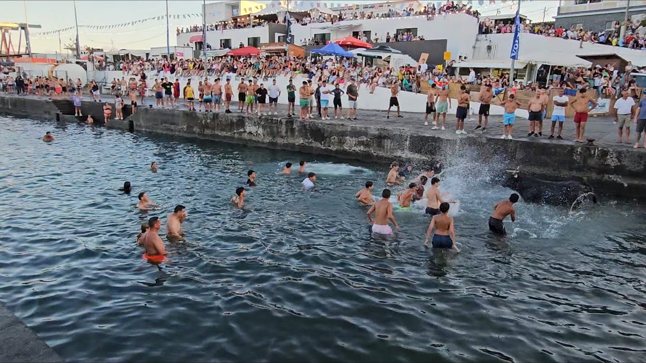 Ilha Terceira Açores, 17-08-25 Tourada à Corda no Porto de Pescas São Mateus. F.P.