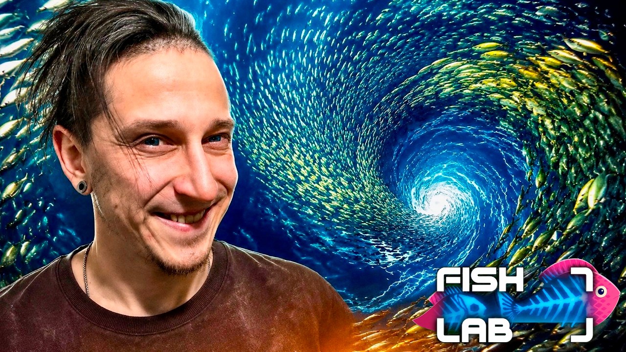 🔥 ТЕПЕРЬ ЭТО ОДНА ИЗ МОИХ ЛЮБИМЫХ ИНКРЕМЕНТАЛОК! | Fish Lab - YouTube