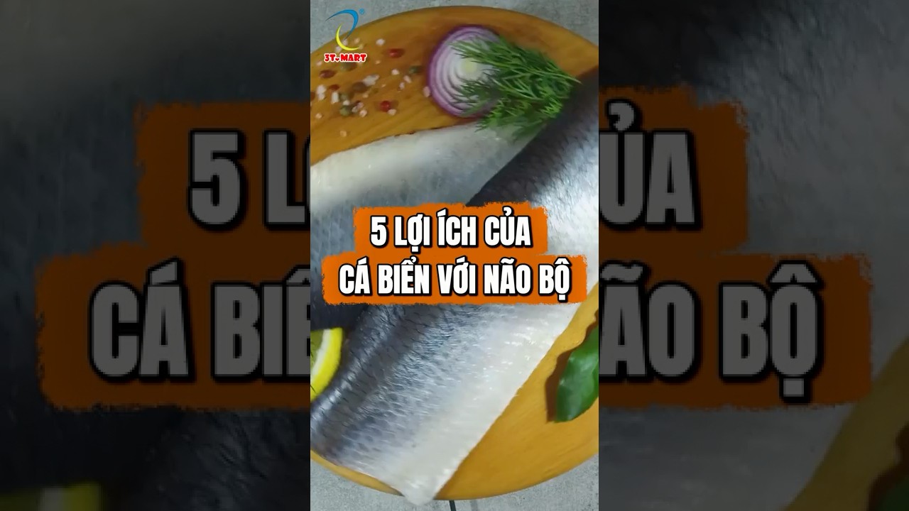 Cá Biển – Món Ăn Bổ Dưỡng Cho Não Và Trí Nhớ