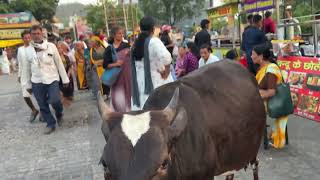 Rishikesh ki shyam aur  janki setu mai maa ganga aarti ke darshan sukoon de gaya aaj 