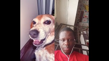 on a scale of 1 to 10 how lazy are u 😅