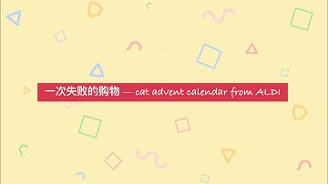 Cat Video #9 | 🎄圣诞特供 ALDI Advent Calendar里的treats猫猫爱吃吗? | Abby Cao