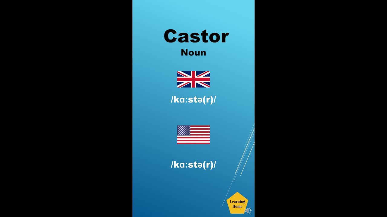 Castor meaning pronunciation and synonyms 