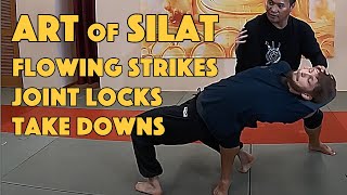 Silat Strikes and Finishes - Silat Suffian Bela Diri