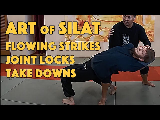 Silat Strikes and Finishes - Silat Suffian Bela Diri class=