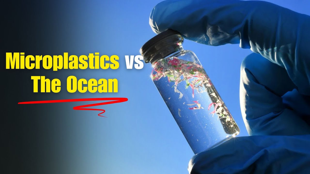 Microplastics Are Undermining the Ocean’s Carbon Sink - And Fueling ...