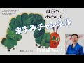 【はらぺこあおむし】ますみチャンネル ＃３ 　１日の終わりに、ガチガチになった頭とズタボロになった心をまあるくしましょう！【おやすみの絵本】