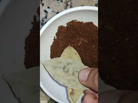 اكتب على ورقة غار اسمك ترى العجب العجاب في جلب المال روحانيات اكسبلور