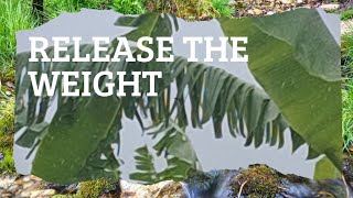 Help to Release the Weight of the World – Where Geometry Breathes
