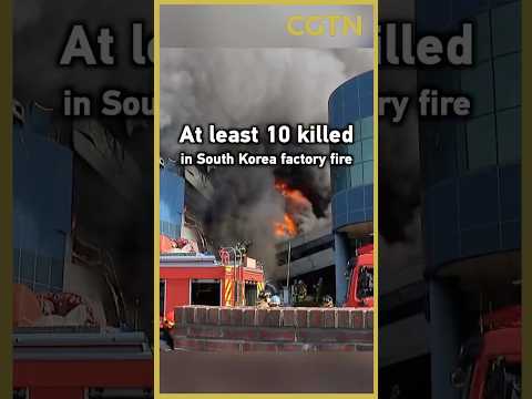 At least 10 killed in South Korea factory fire