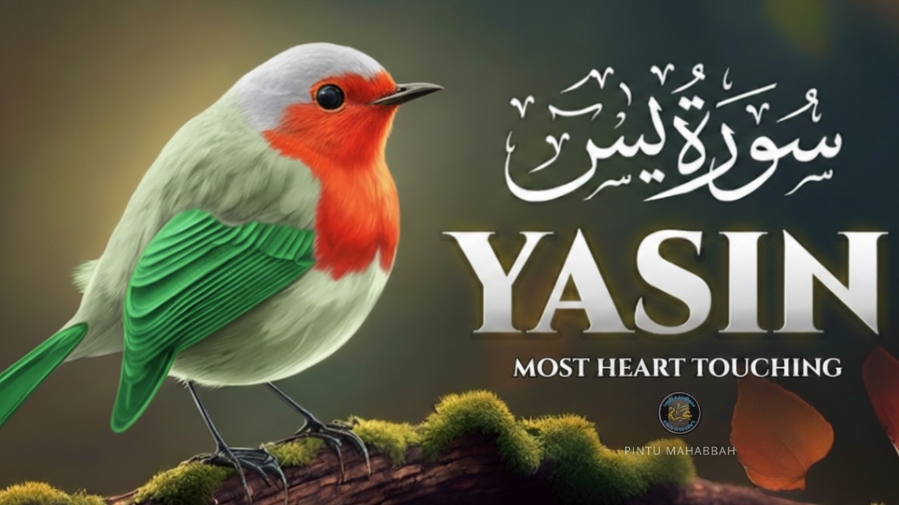 8 HOURS NONSTOP Quran Deep Sleep | Relaxing Qur’an Recitation for Anxiety & Stress Relief