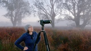 Woodland Photography on a Misty Morning