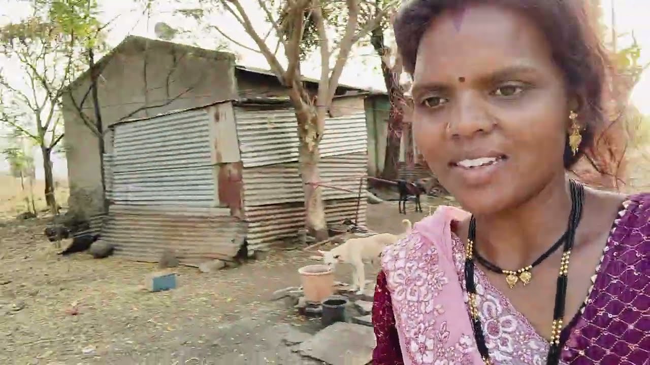 वाचमेल माझ्या मागं लागली दगड हातात घेतला मग माझी सुटका झाली 