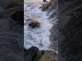 Storm Sea Waves Crashing on Rocks 🌊 Relaxing Nature Shorts