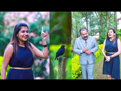 Munnar Day 2 | Hot n spicy | Alina Padikkal Vlog