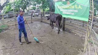 Lote Nro. 282