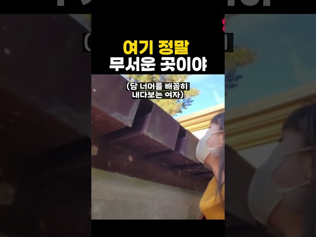 여기 정말 무서운 곳이야