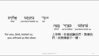 Psalmė 66: Hebrajų tarpinė garso Biblija (Hebrajų Biblija: Psalmė 66)