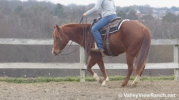 Flotallic - Beautiful slow low jog, lope, big stops! - ValleyViewRanch.net