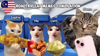 Roadtrip CAT MEMES Compilation