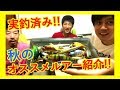 【秋のバス釣り】実釣済みオススメルアー紹介！！※初心者必見