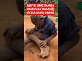 MOYO UMEINAMA UNATOKA DAMU BORA KUFA SIO MATESO HAYA JAMANI 