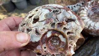 Looking at Rocks - Rocks and Stones
