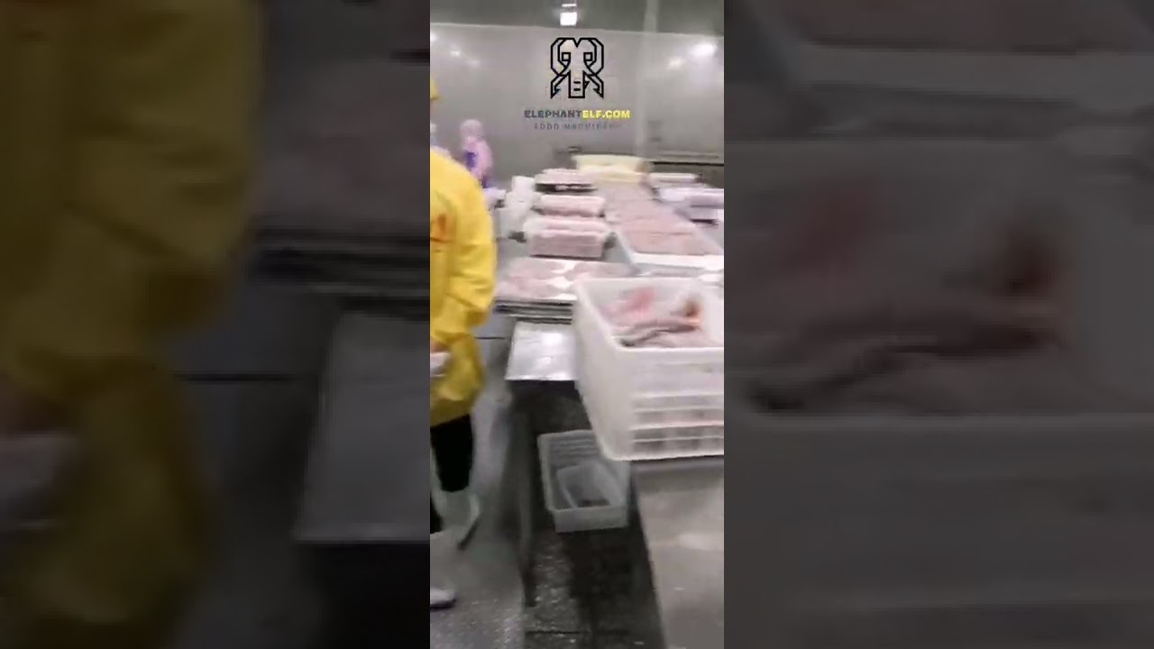 IQF tunnel freezer of freezing fish fillets