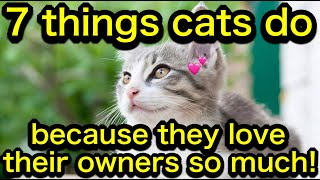 【Scientifically proven! 】7 things cats do because they love their owners so much!