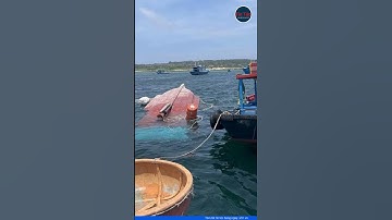 Chìm tàu cá ở Phú Quý, 6 ngư dân rơi xuống biển