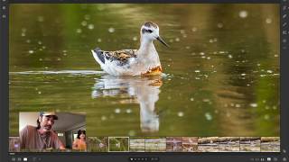 Skagit Washington Birding Photography Trip Report