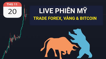 LIVE PHIÊN MỸ - TRADE FOREX, VÀNG & BITCOIN NGÀY 20/11/2025