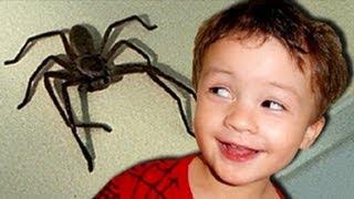 Big Mother Spider Excited Baby KIds React