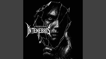 The Architect’s Hands